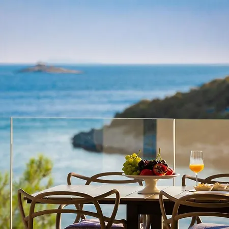 Villa Beachfront Extravaganza With Infinity Pool Vinišće